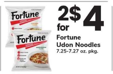 Fortune Udon Noodles