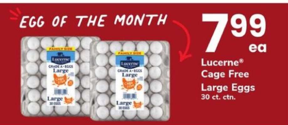 Lucerne Cage Free Large Eggs