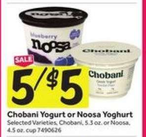 Chobani Yogurt or Noosa Yoghurt