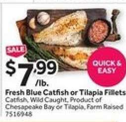 Fresh Blue Catfish or Tilapia Fillets