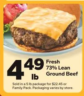Fresh 73% Lean Ground Beef