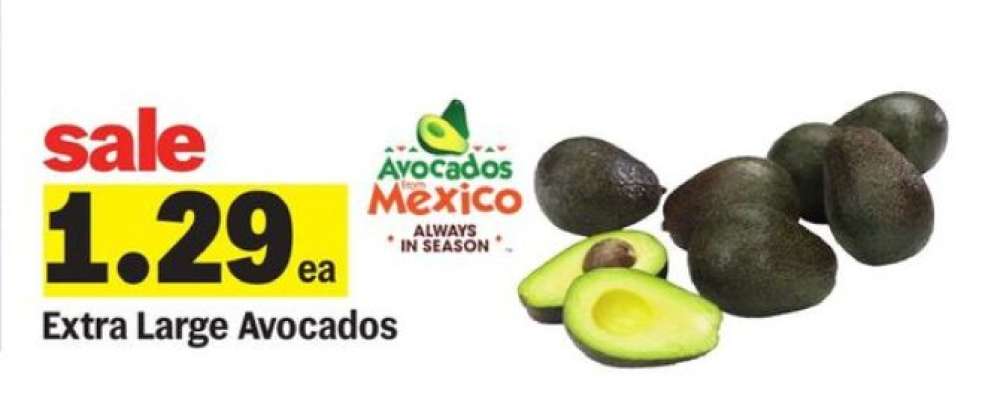 Extra Large Avocados