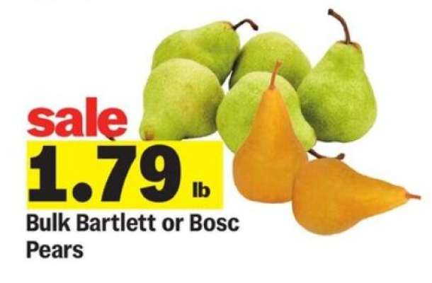 Bulk Bartlett or Bosc Pears