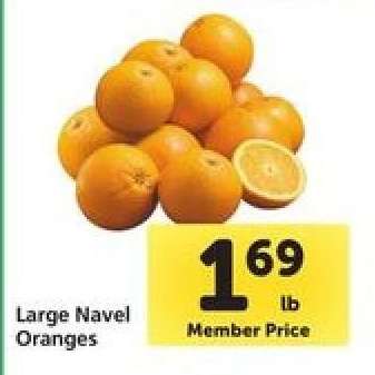 Large Navel Oranges