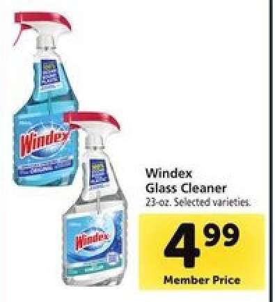 Windex Glass Cleaner