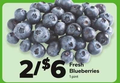 Fresh Blueberries