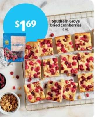 Southern Grove Dried Cranberries