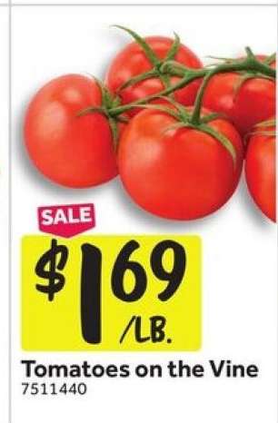 Tomatoes on the Vine