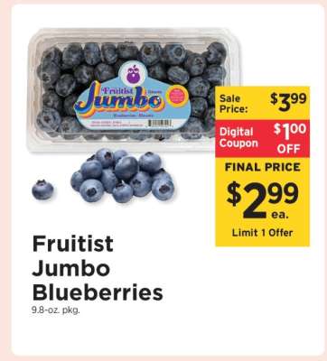 Fruitist Jumbo Blueberries