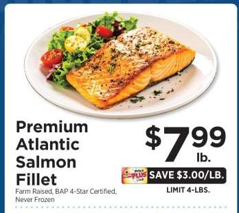 Premium Atlantic Salmon Fillet