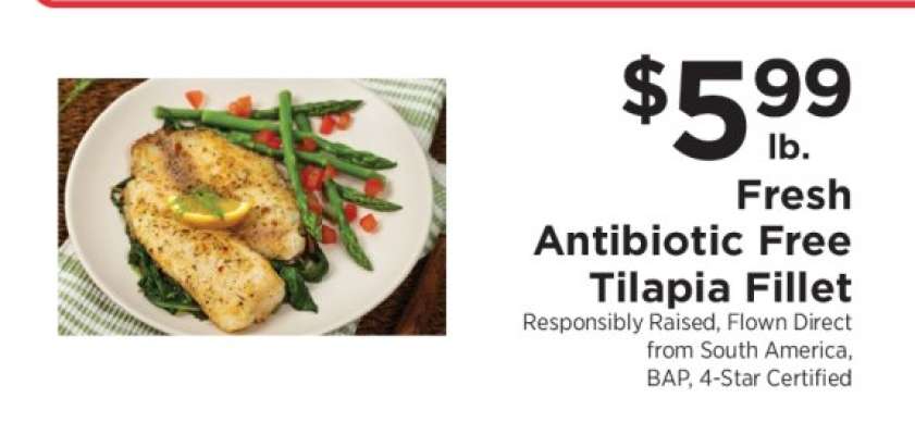 Fresh Antibiotic Free Tilapia Fillet