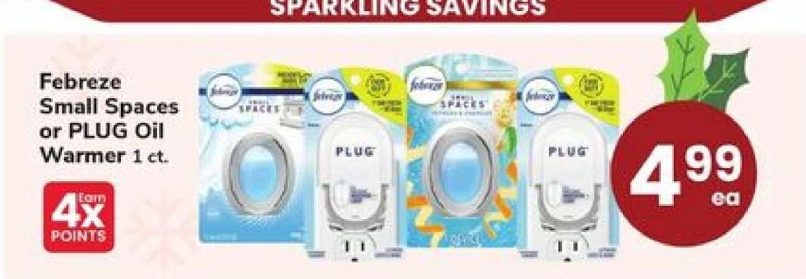Febreze Small Spaces or PLUG Oil Warmer