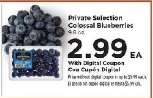 Private Selection Colossal Blueberries