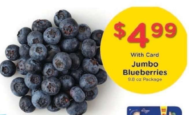 Jumbo Blueberries