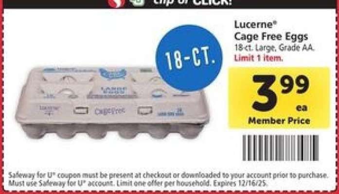 Lucerne Cage Free Eggs