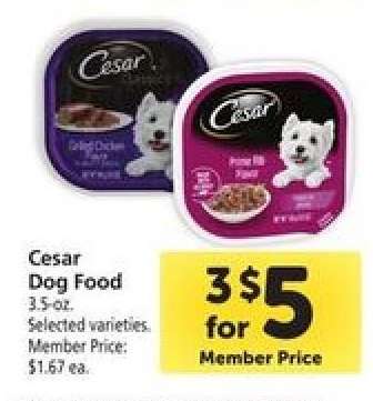 Cesar Dog Food