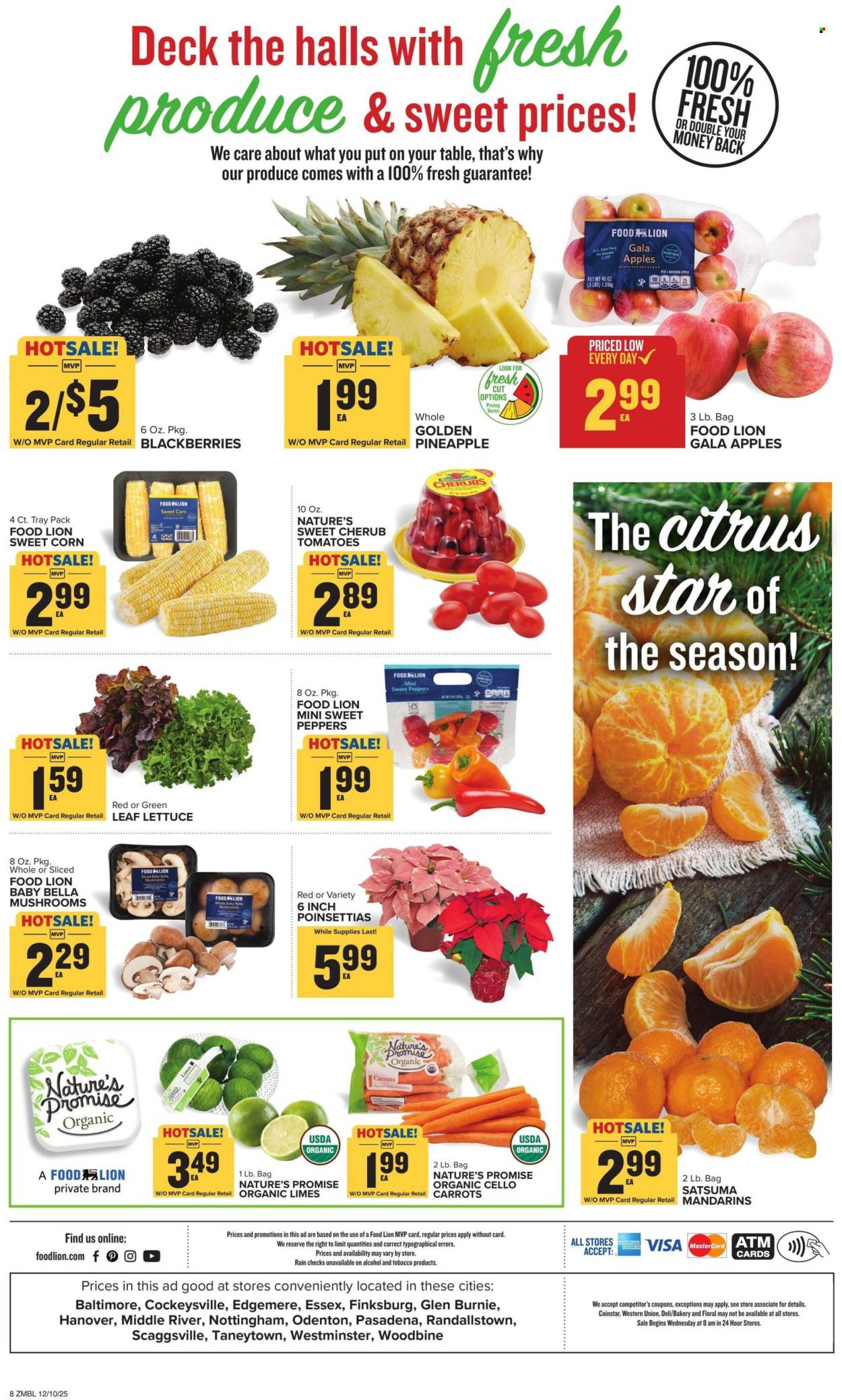 Food Lion ad - 12/10/2025 - 12/16/2025. Page 10