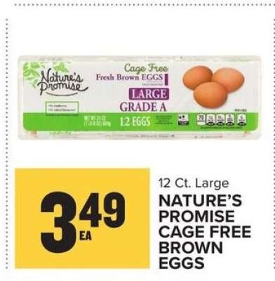Nature's Promise Cage Free Brown Eggs
