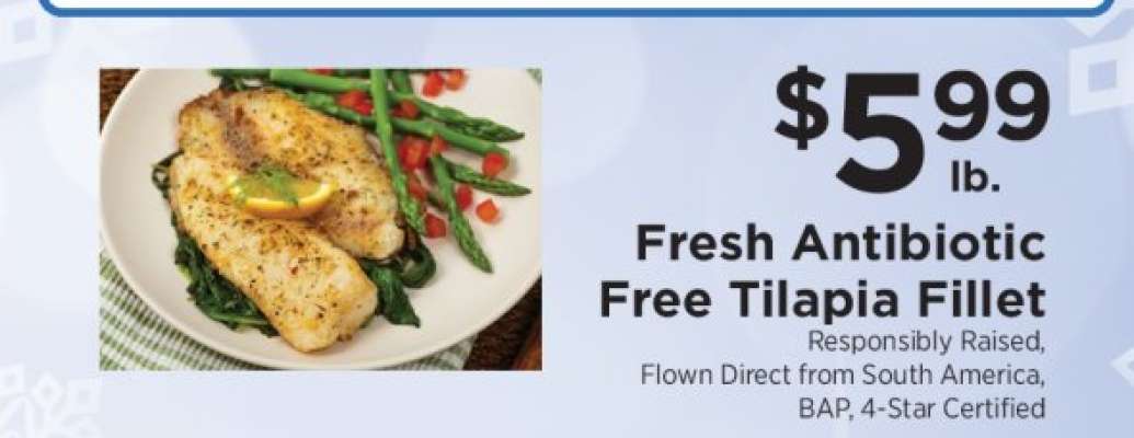 Fresh Antibiotic Free Tilapia Fillet
