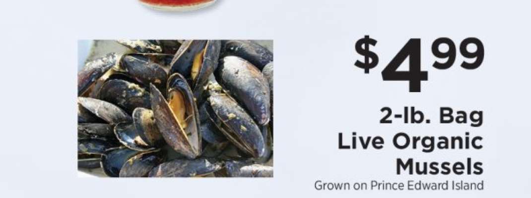 Live Organic Mussels