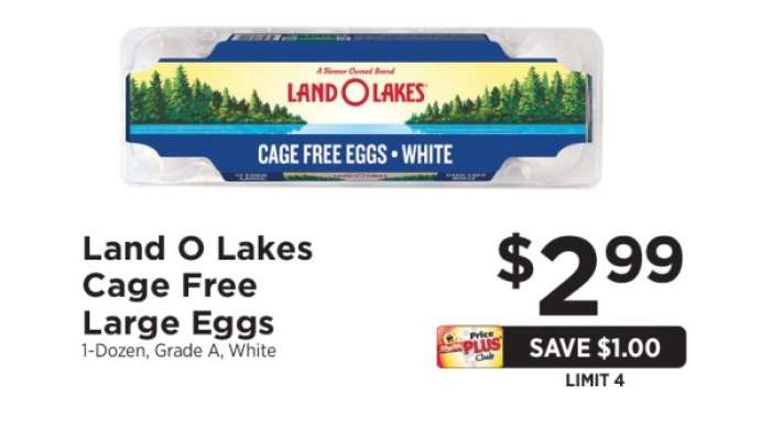 Land O Lakes Cage Free Large Eggs