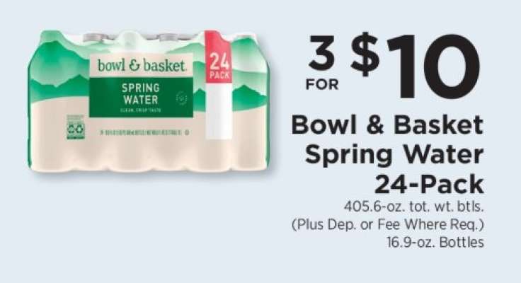 Bowl & Basket Spring Water 24-Pack