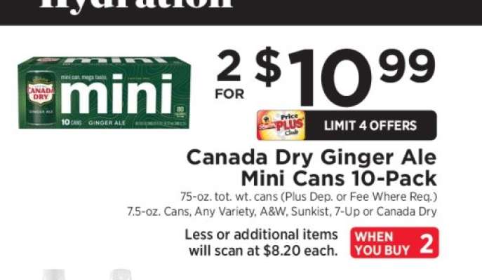 Canada Dry Ginger Ale Mini Cans 10-Pack
