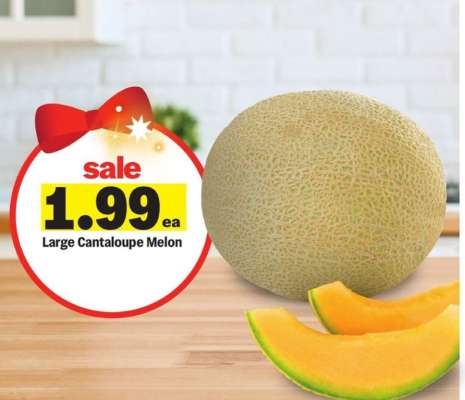 Large Cantaloupe Melon