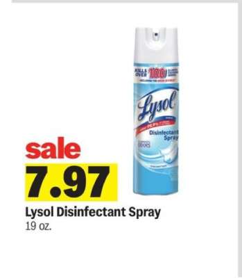 Lysol Disinfectant Spray