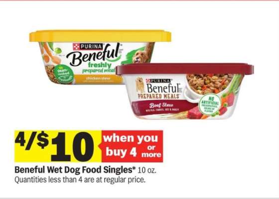 Beneful Wet Dog Food Singles*