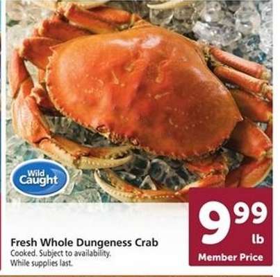 Fresh Whole Dungeness Crab