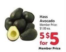 Hass Avocado