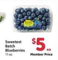 Sweetest Batch Blueberries