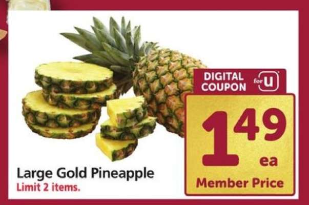 Large Gold Pineapple