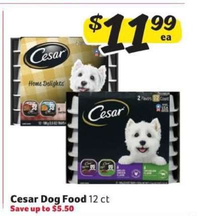 Cesar Dog Food