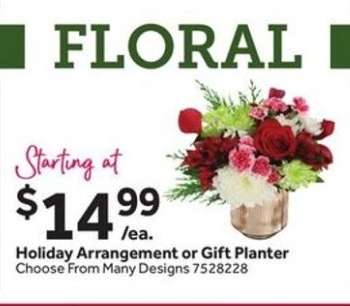 Holiday Arrangement or Gift Planter