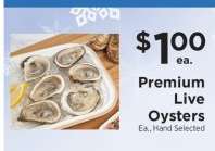 Premium Live Oysters