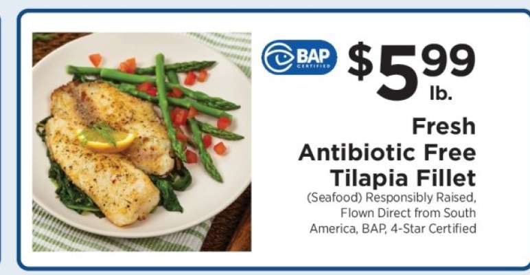 Fresh Antibiotic Free Tilapia Fillet