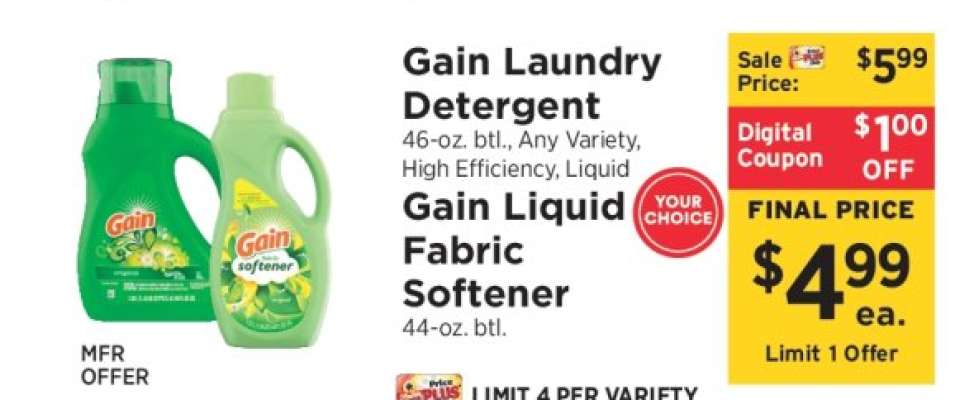 Gain Laundry Detergent or Gain Liquid Fabric Softener