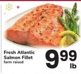 Fresh Atlantic Salmon Fillet