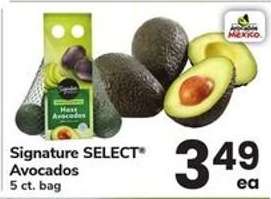 Signature Select Avocados