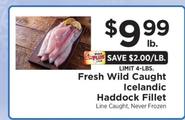 Fresh Wild Caught Icelandic Haddock Fillet