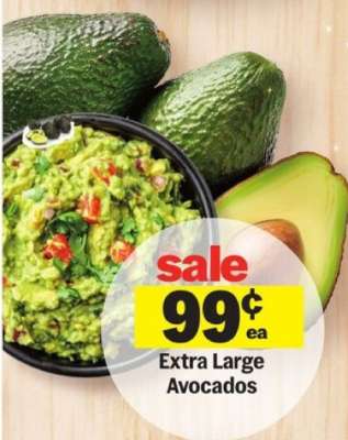Extra Large Avocados