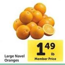 Large Navel Oranges