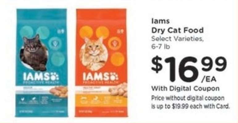 Iams Dry Cat Food