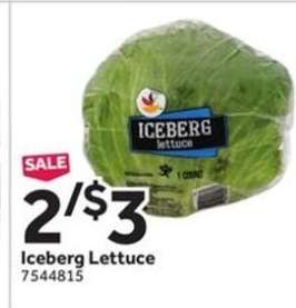 Iceberg Lettuce