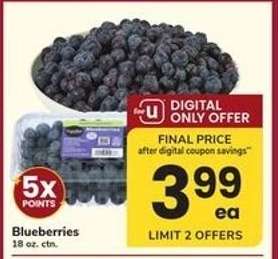 Blueberries