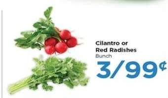 Cilantro or Red Radishes