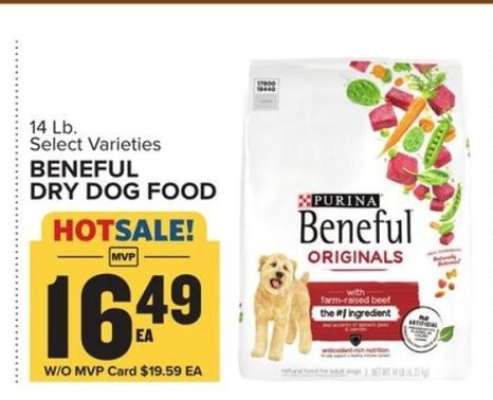 Beneful Dry Dog Food