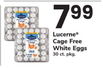 Lucerne Cage Free White Eggs